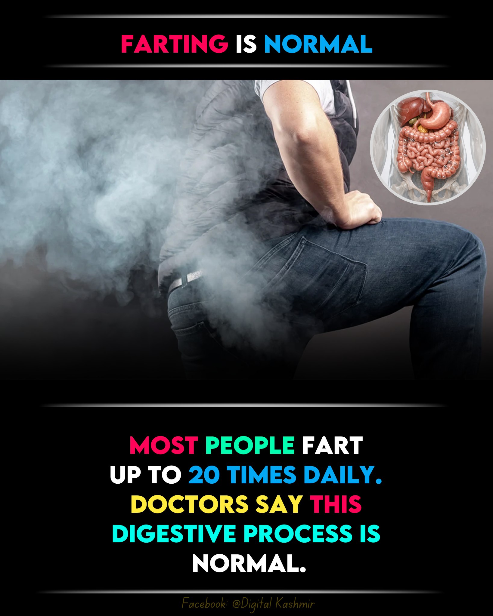 Digital - Passing gas is a normal part of digestion. Your gut bacteria ...
