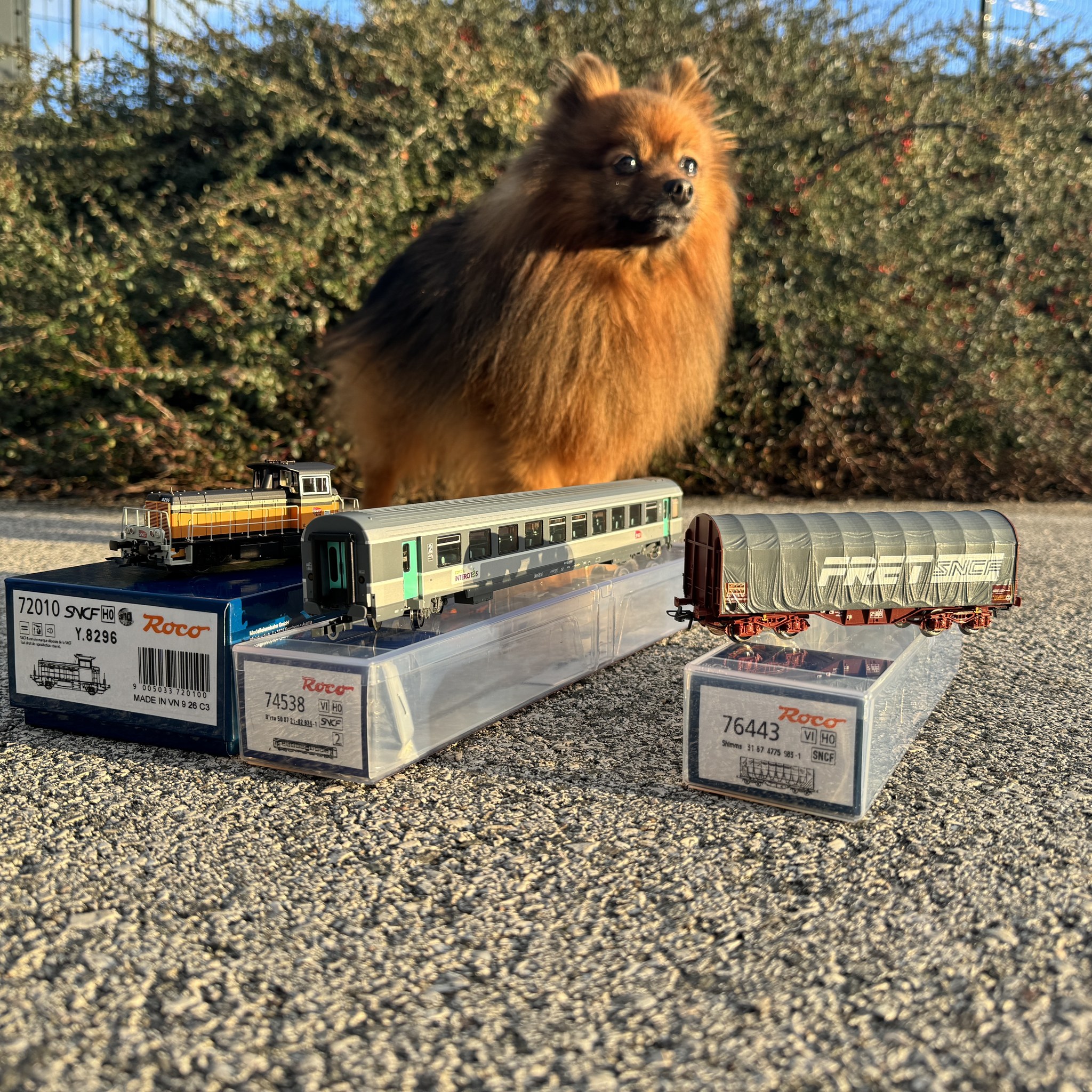 Jura Modélisme - 🚂 Nouvel arrivage Roco.cc en stock ! 💎...