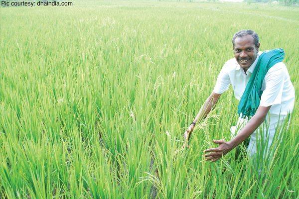 seniorworld.com - Nel Jayaraman, India’s organic farming crusader who ...