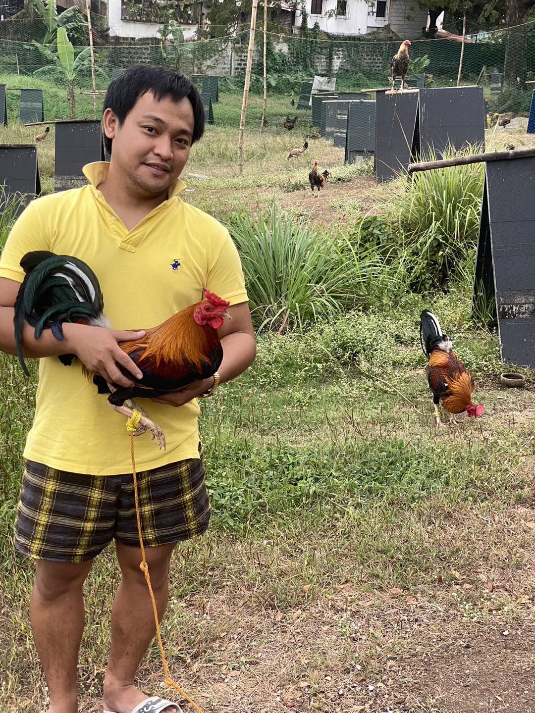 Perseverance Gamefarm