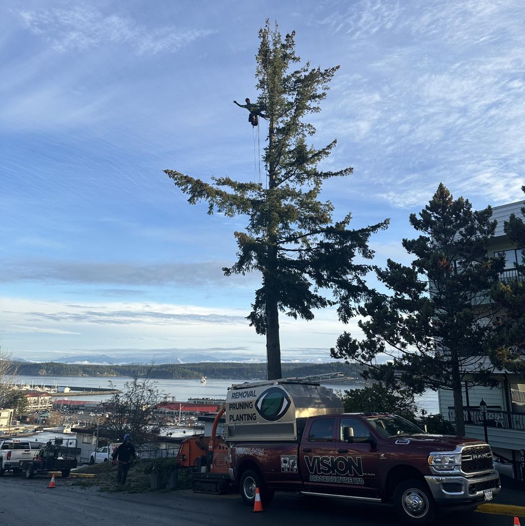 Vision - Happy Friday everyone!! . We’re Campbell River, and the Comox ...