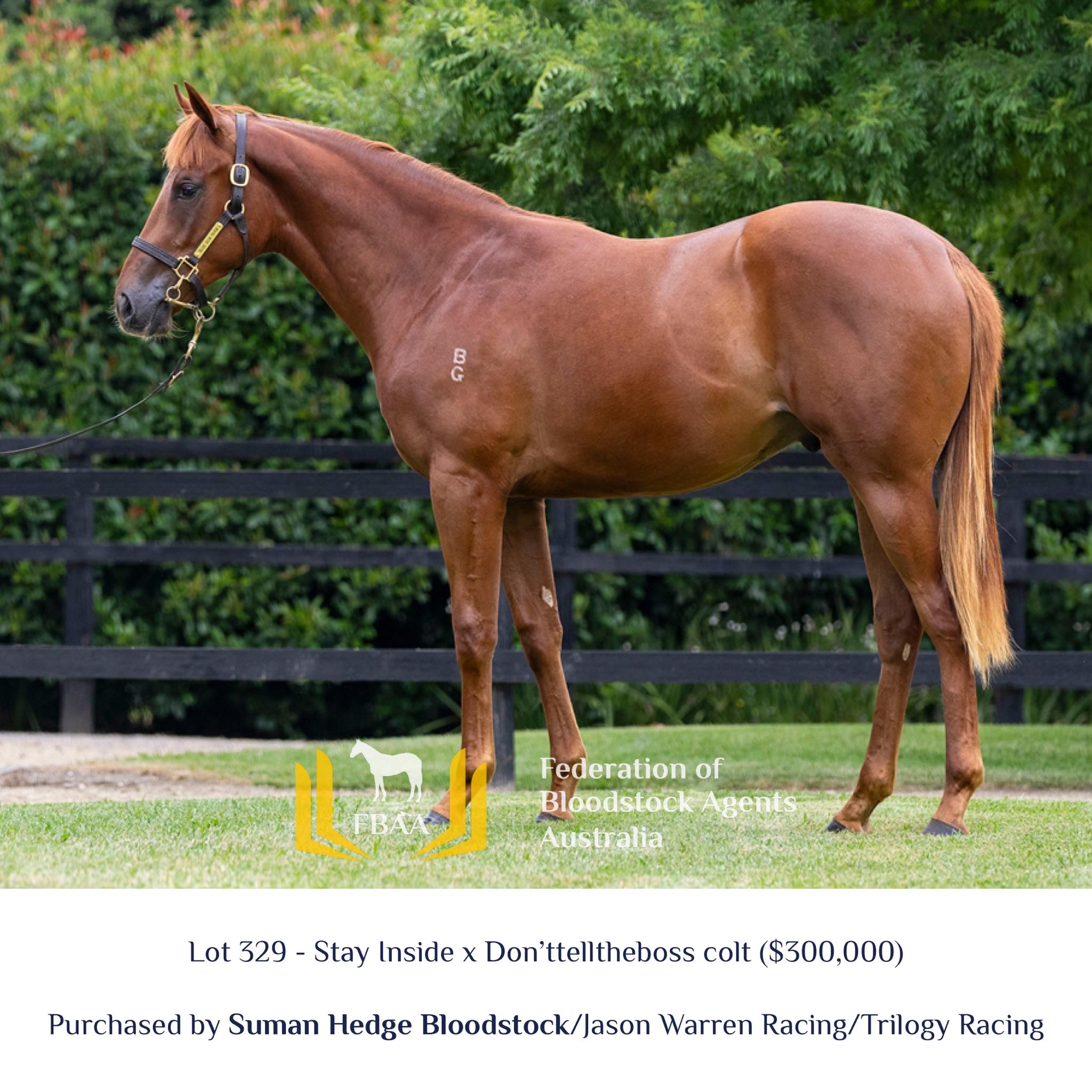 Jason Warren Racing | Mornington VIC