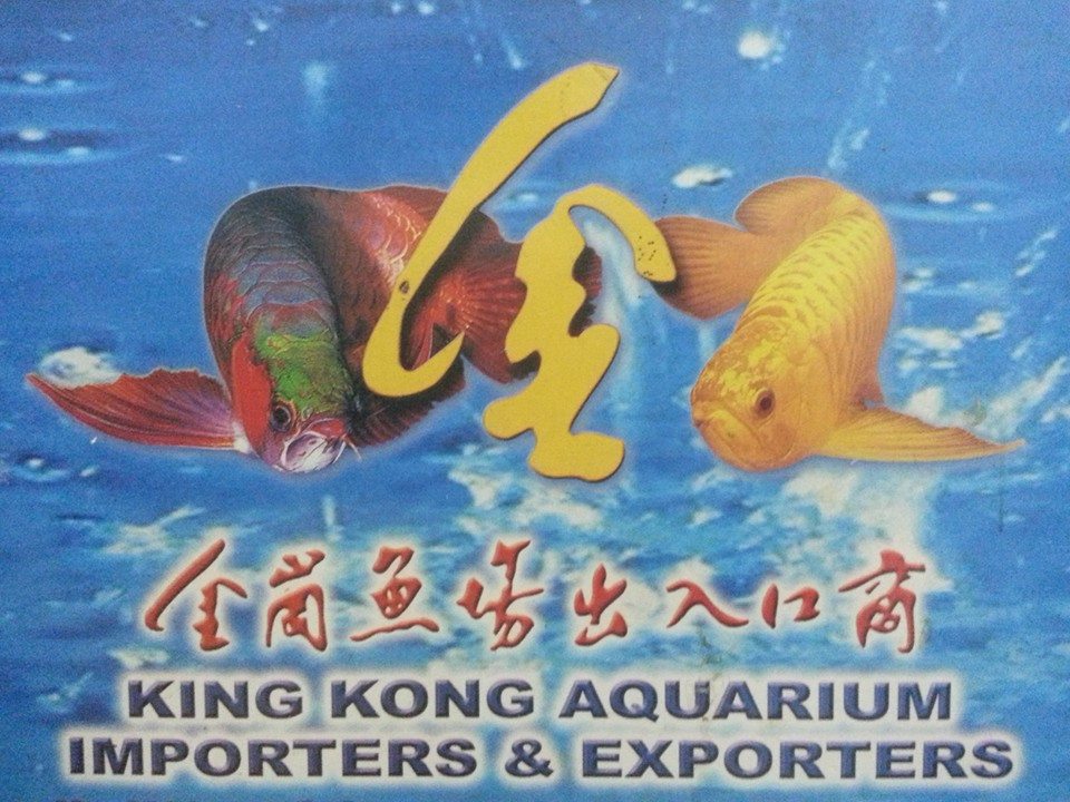 Photos A Pusat Akuatik Ikia Aquaculture Technology Sdn Bhd Melaka Melaka