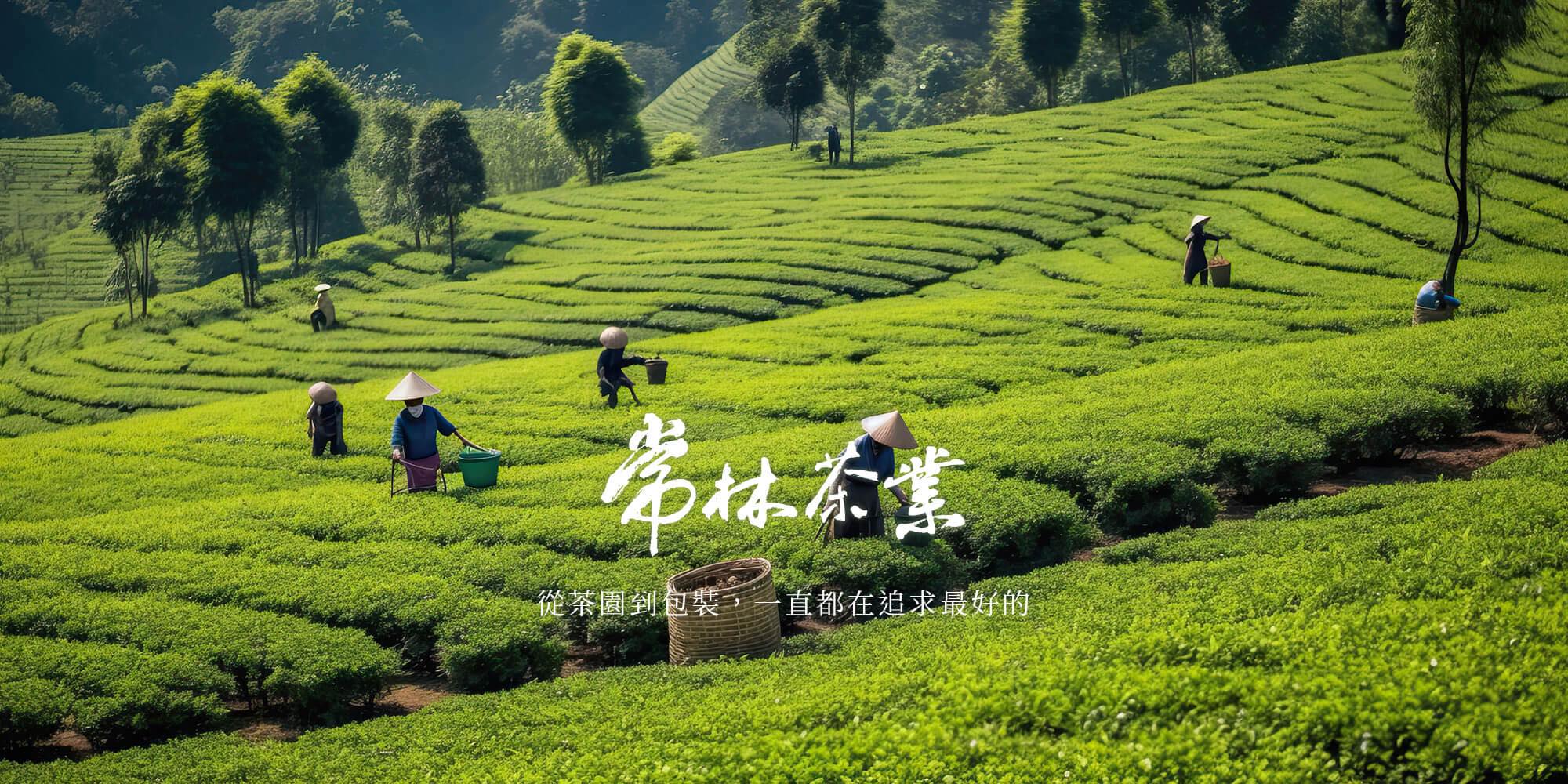 常林茶業