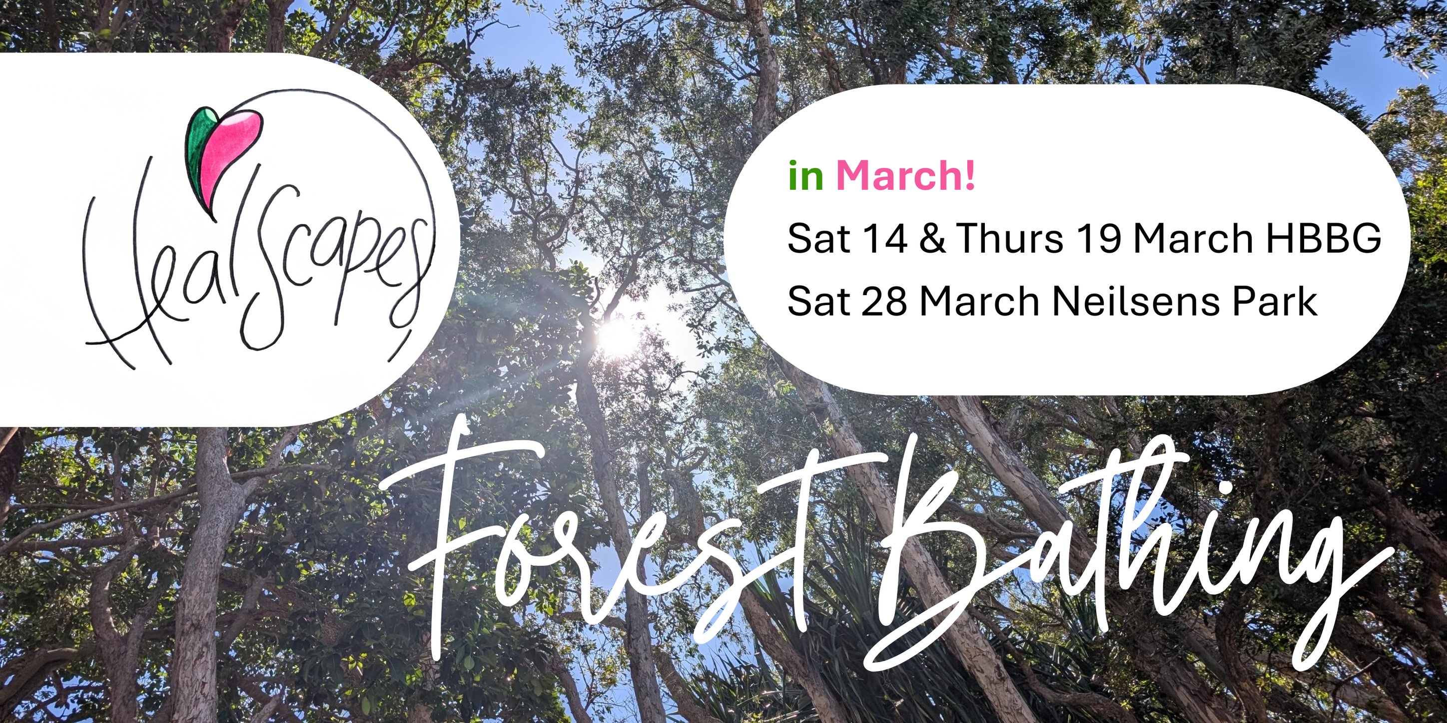 Forest Bathing in March! Thursday 19 March, 2026