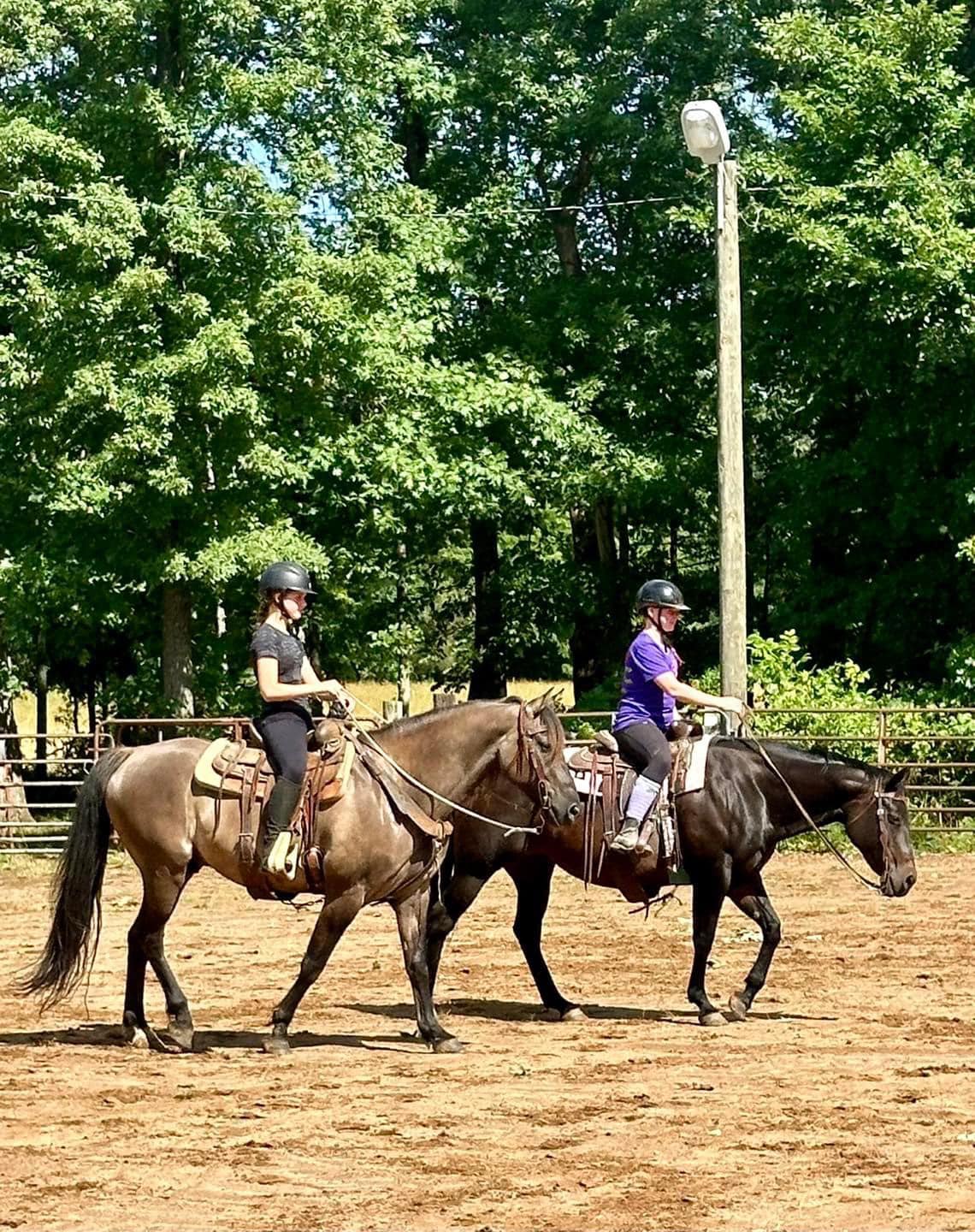 Triple R Stables | Midland VA