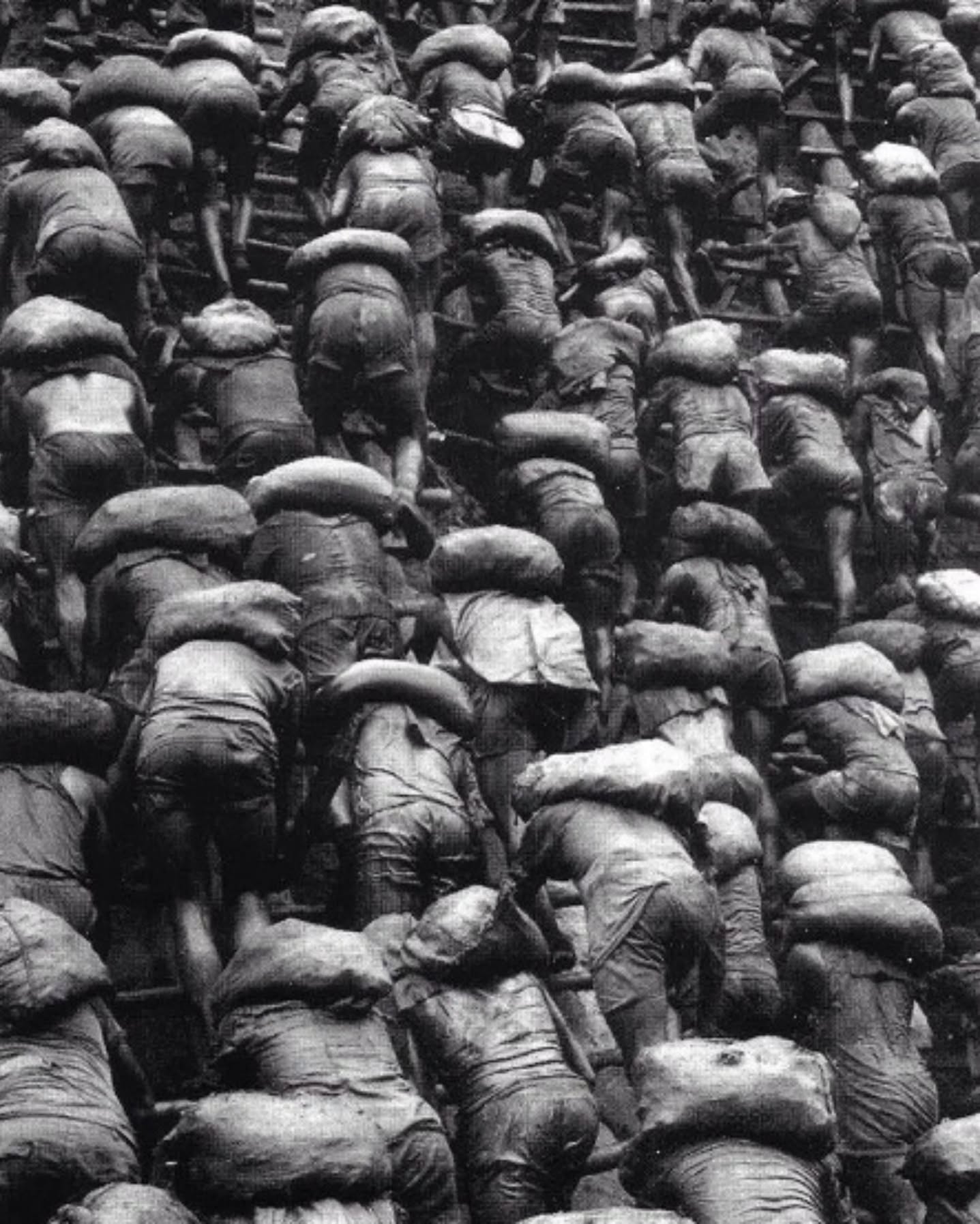 History - In 1986, Brazilian photographer Sebastião Salgado