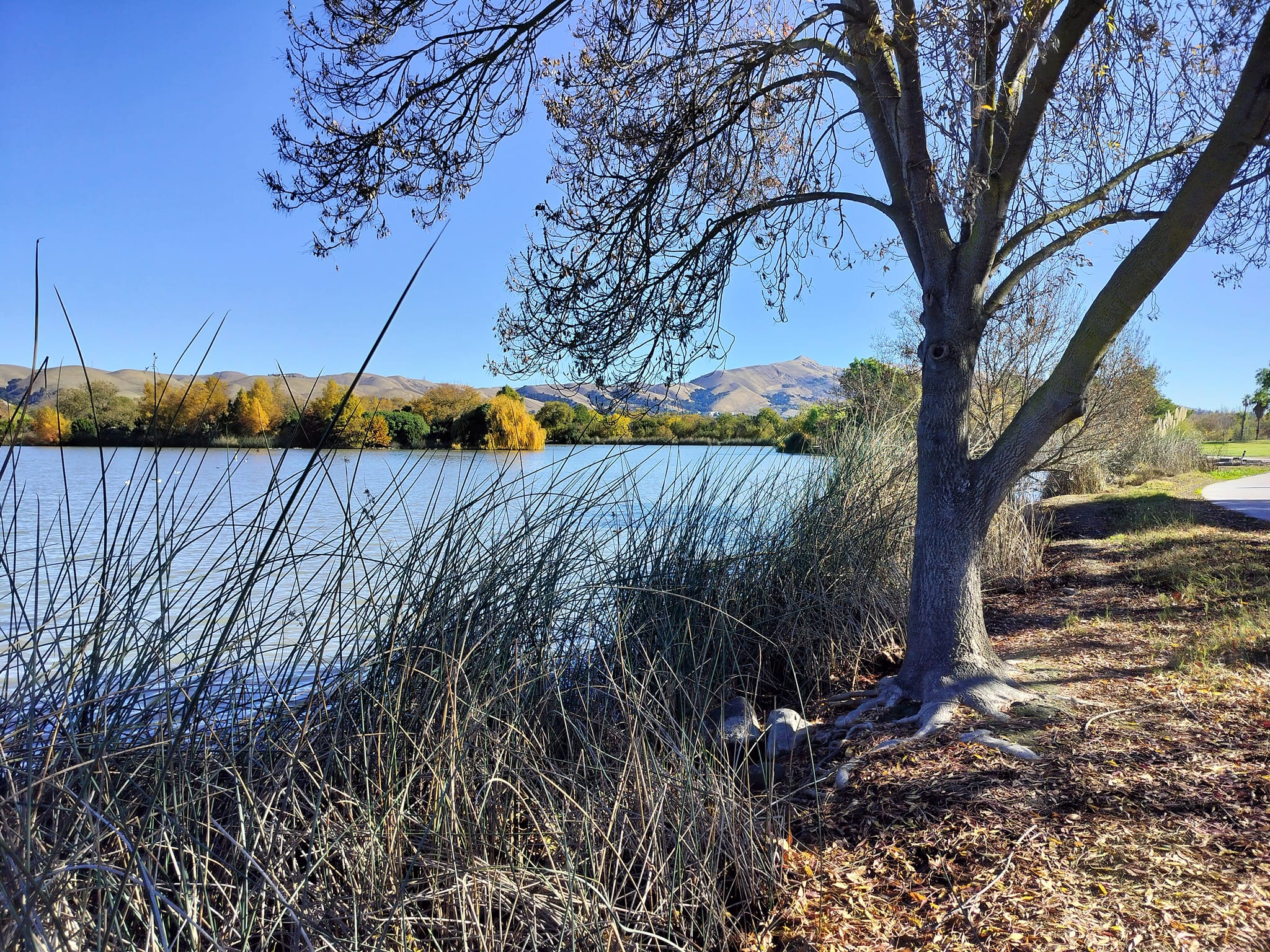 Recent photos of Lake Elizabeth.