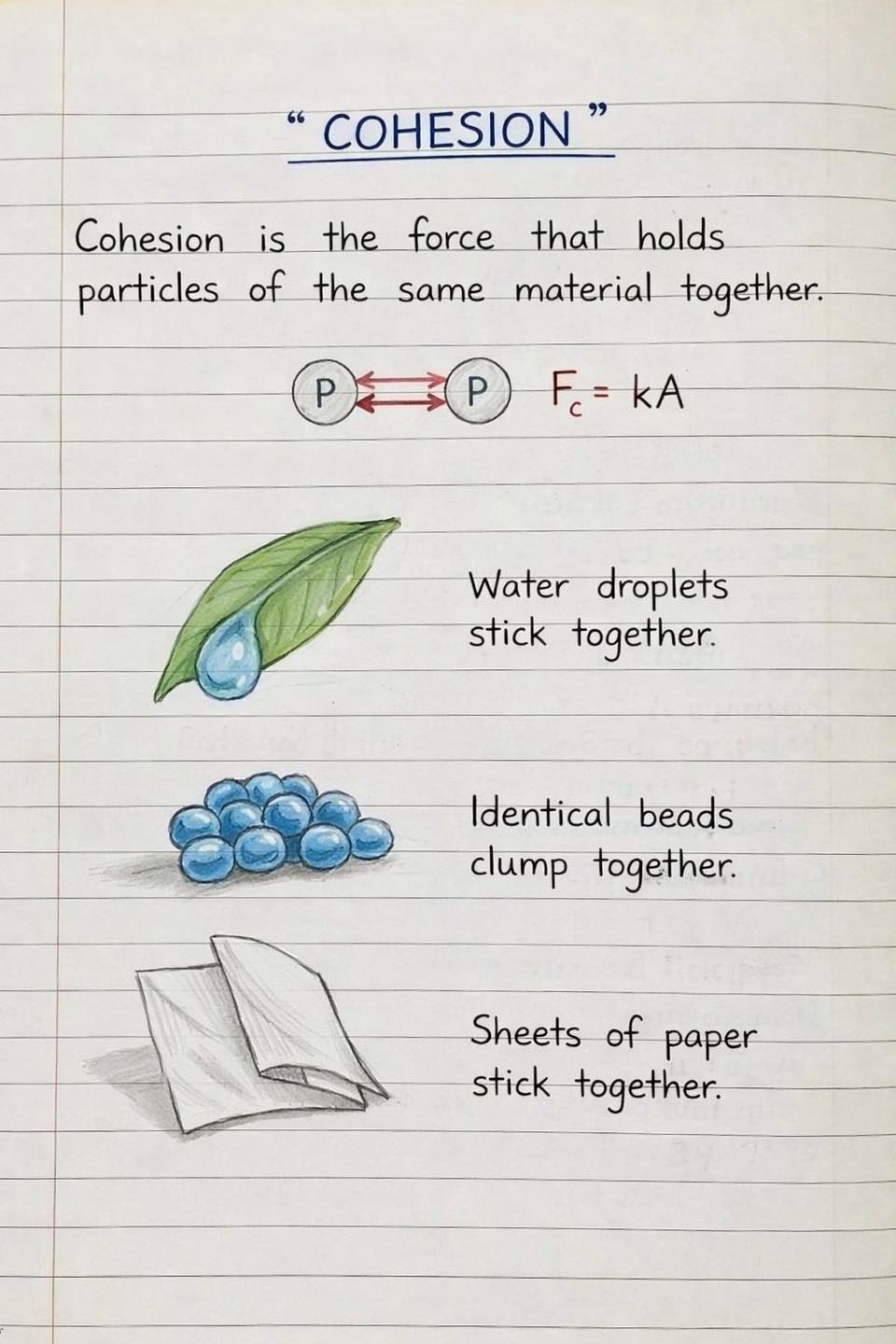 Physicscalculations - Cohesive Force in Physics | Facebook