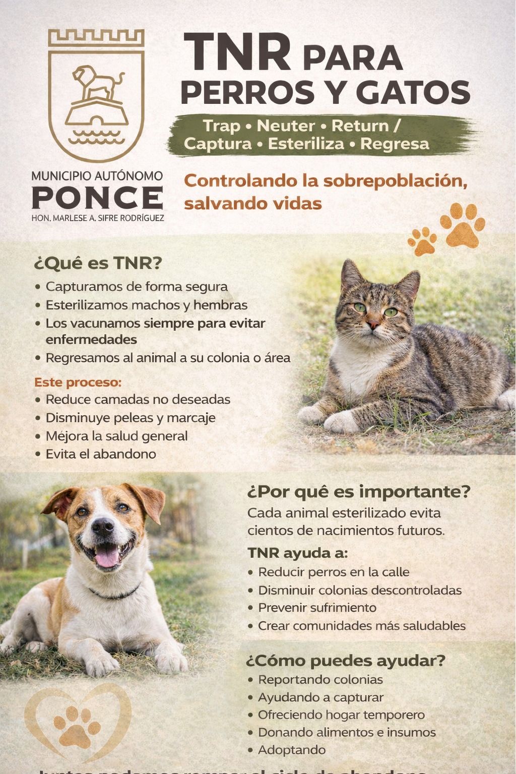Howling for Rescue Inc. | Ponce
