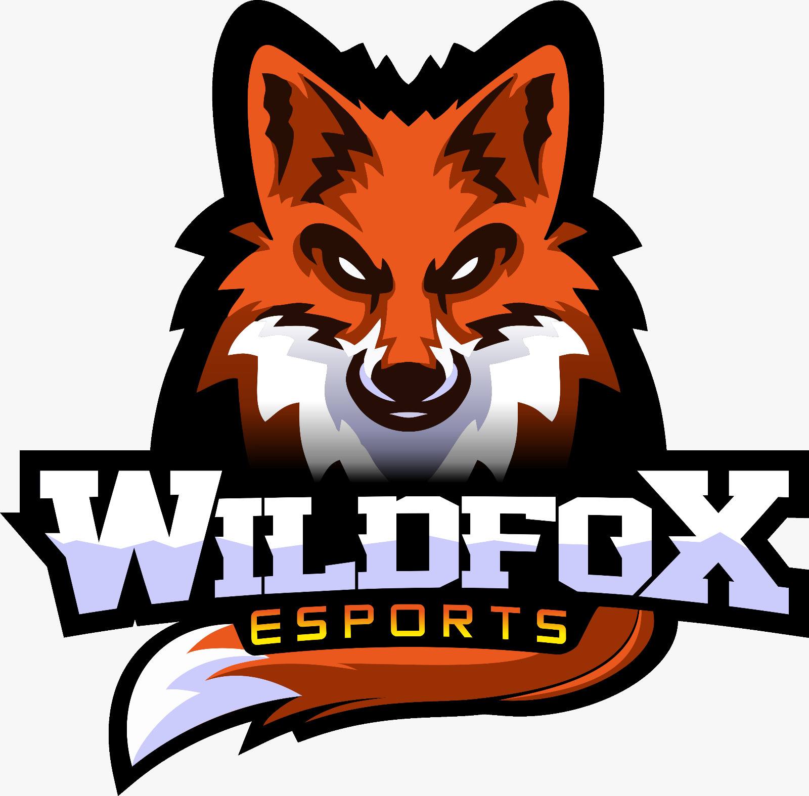 CS:GO Brasil - Formação de Times! | **GRUPO DE CSGO/CS2** | Facebook