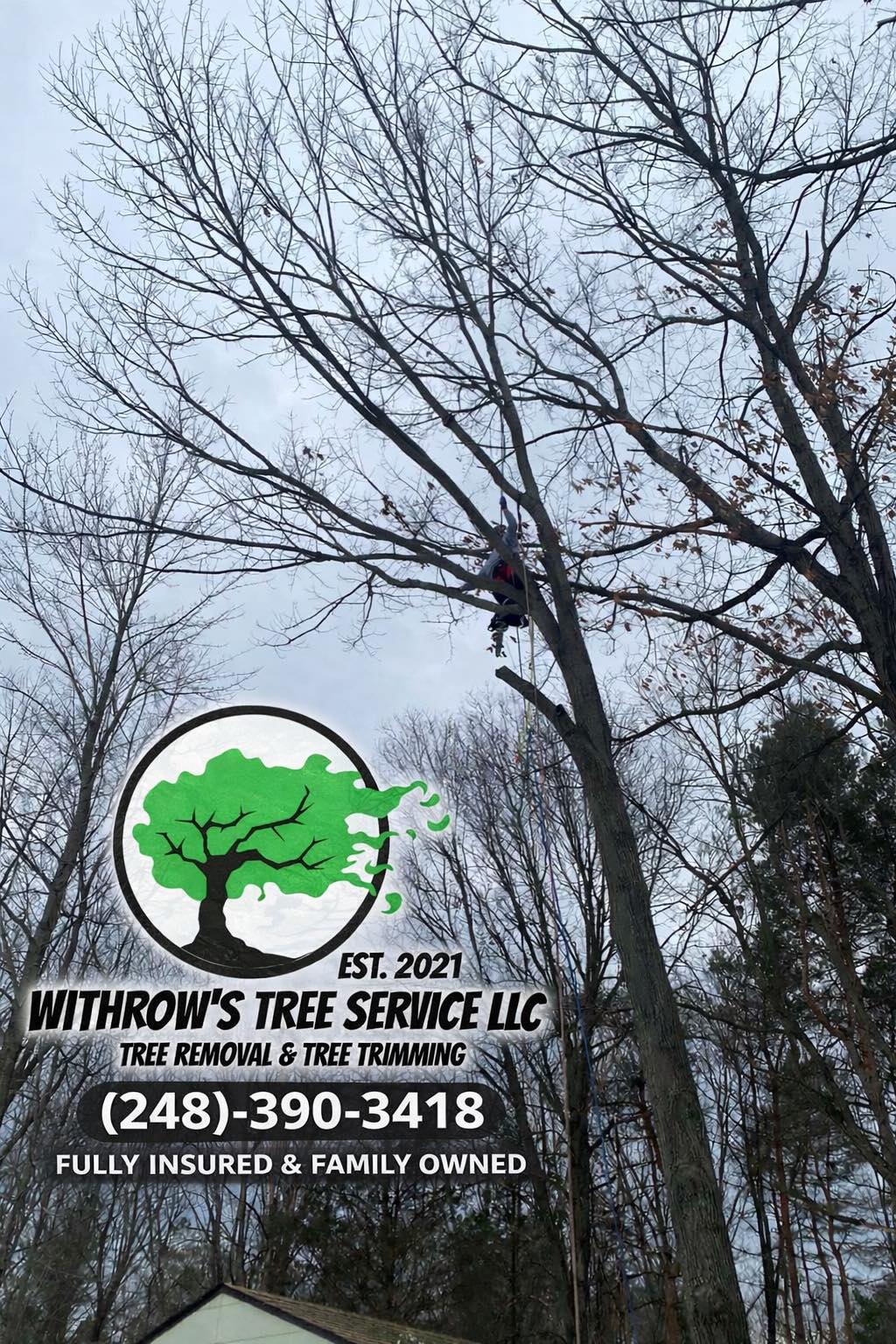 Withrow’s Tree Service LLC | Holly MI