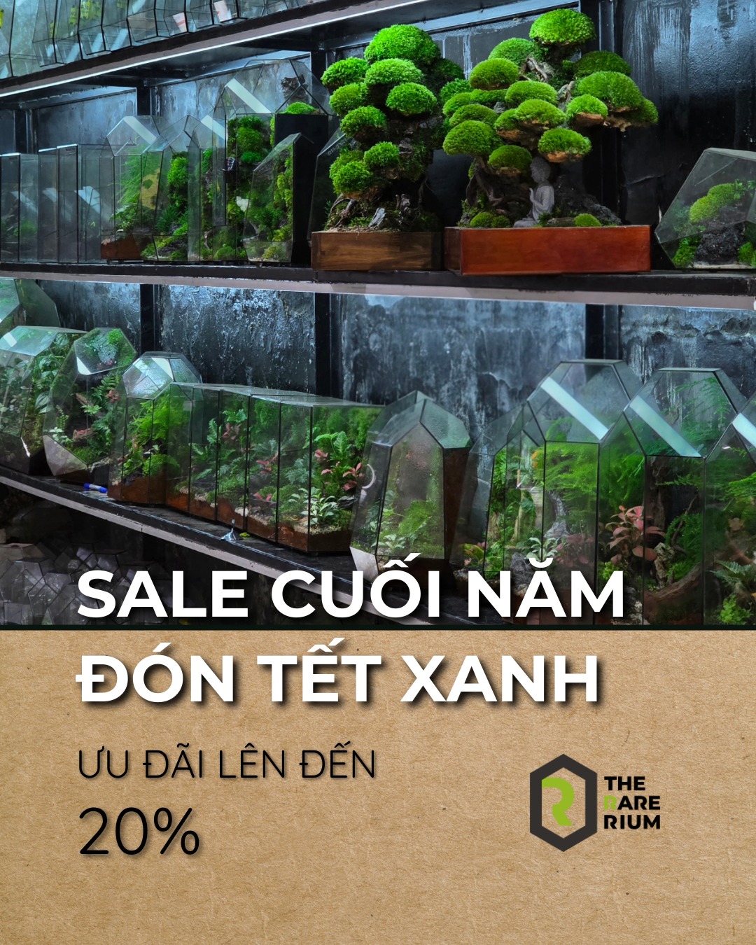 🎊 SALE CUỐI NĂM – ĐÓN... - The Rare Rium - Plant & Moss Art | Facebook
