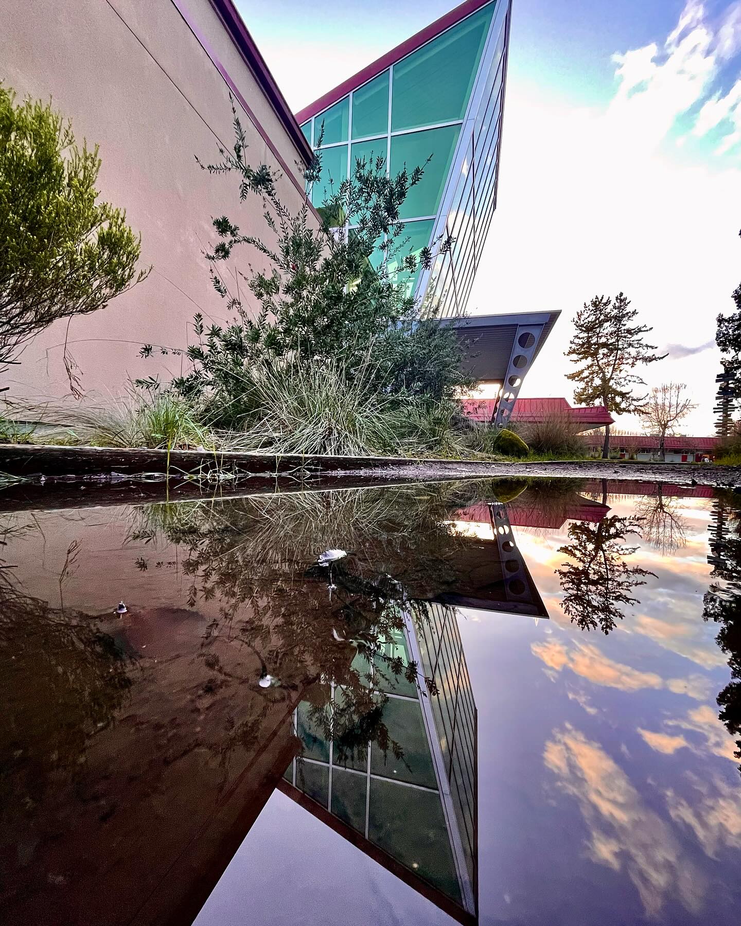 SPARQ Center reflection after a... - SPARQ Center at PHS