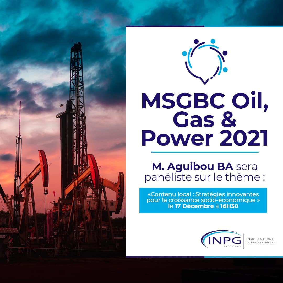 INPG - Institut National du Pétrole et du Gaz - La conférence « MSGBC ...
