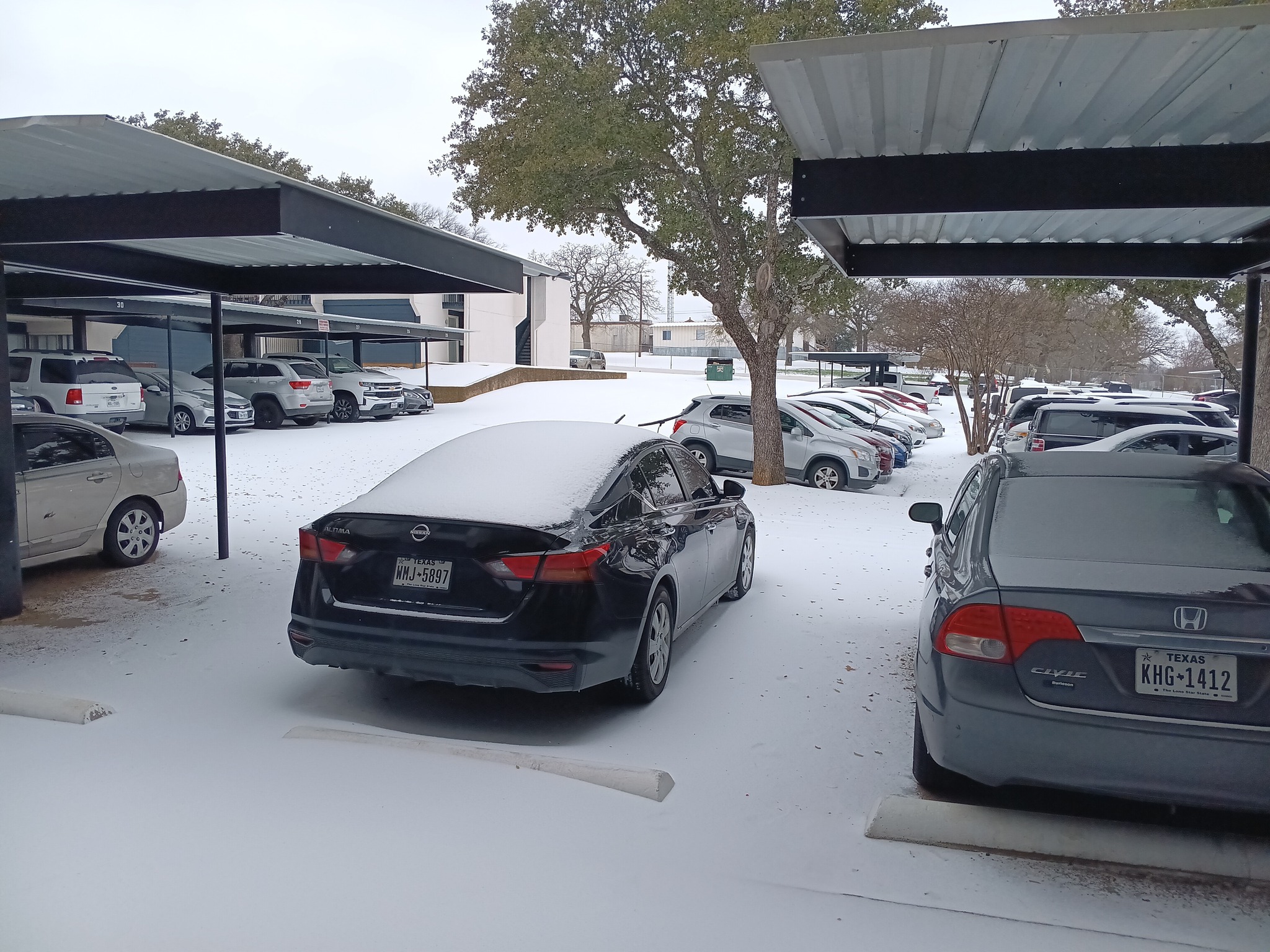David Delane Snow