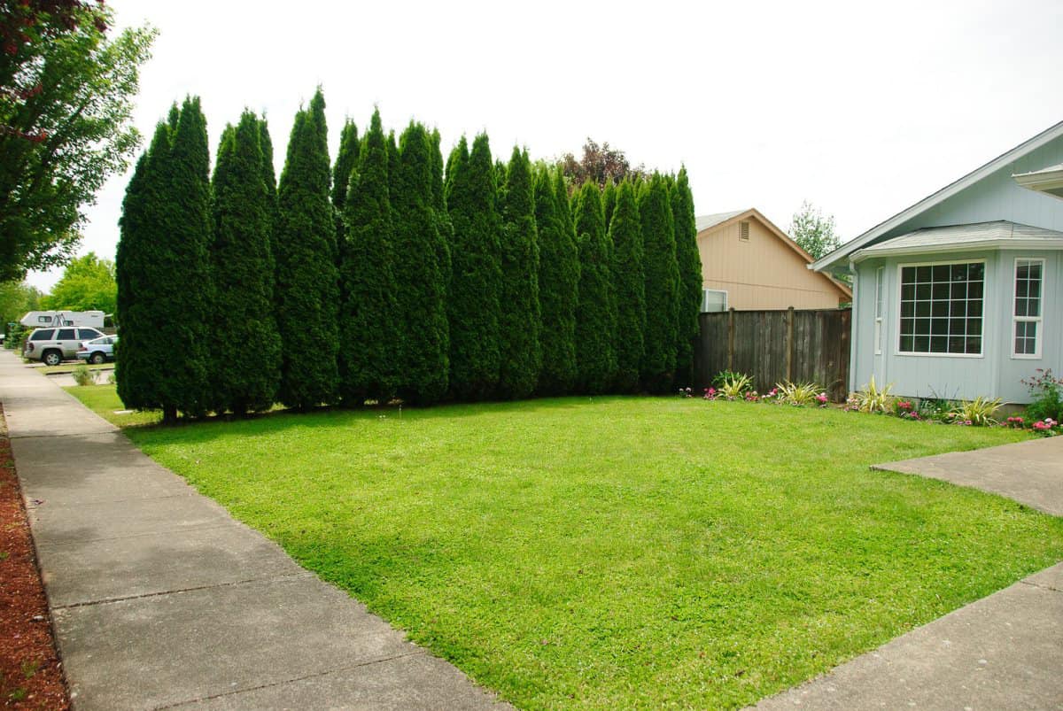 Rob landscapes