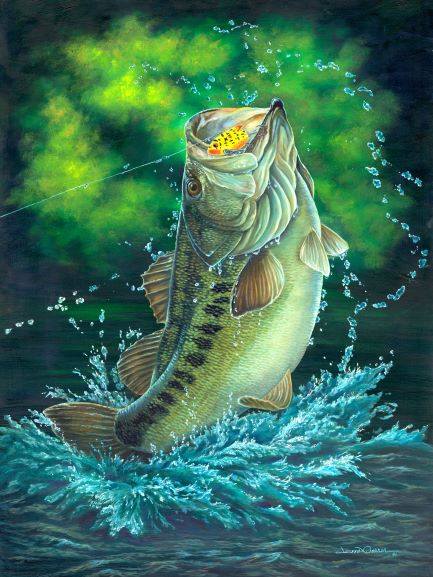 bass chasing lure painting Apple Creek Antique Fishing Patent Poster Art Print Trout Largemouth Walleye Muskie Lures Poles 11x14 Wall Decor Pictures: Posters & Prints Bass Catch