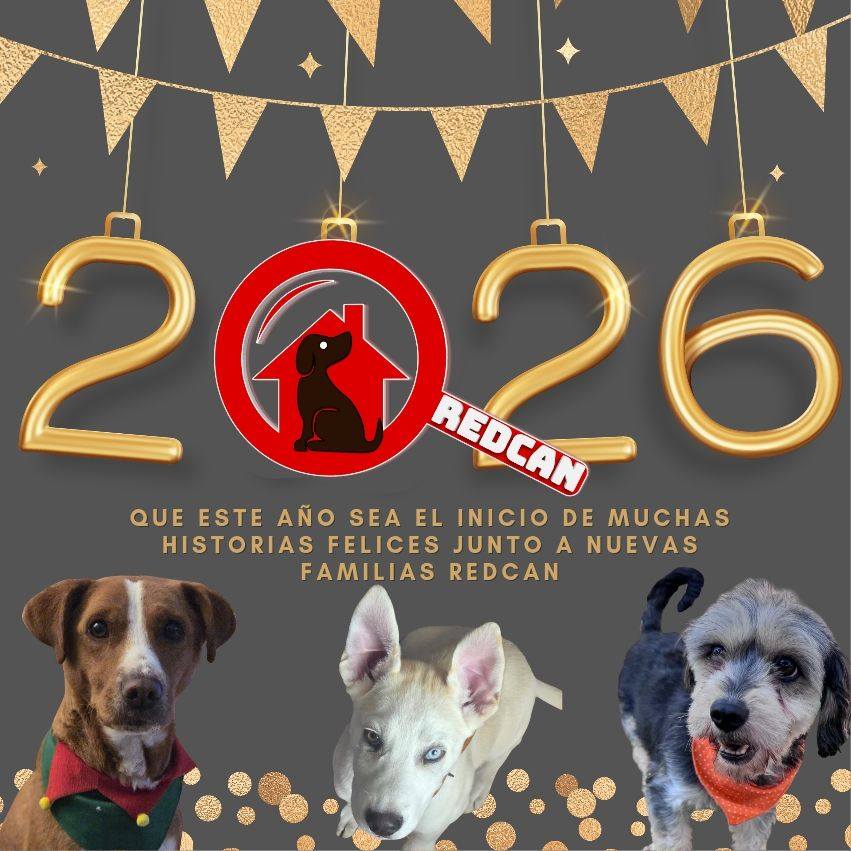 Patitas de San Vicente on Reels | Facebook