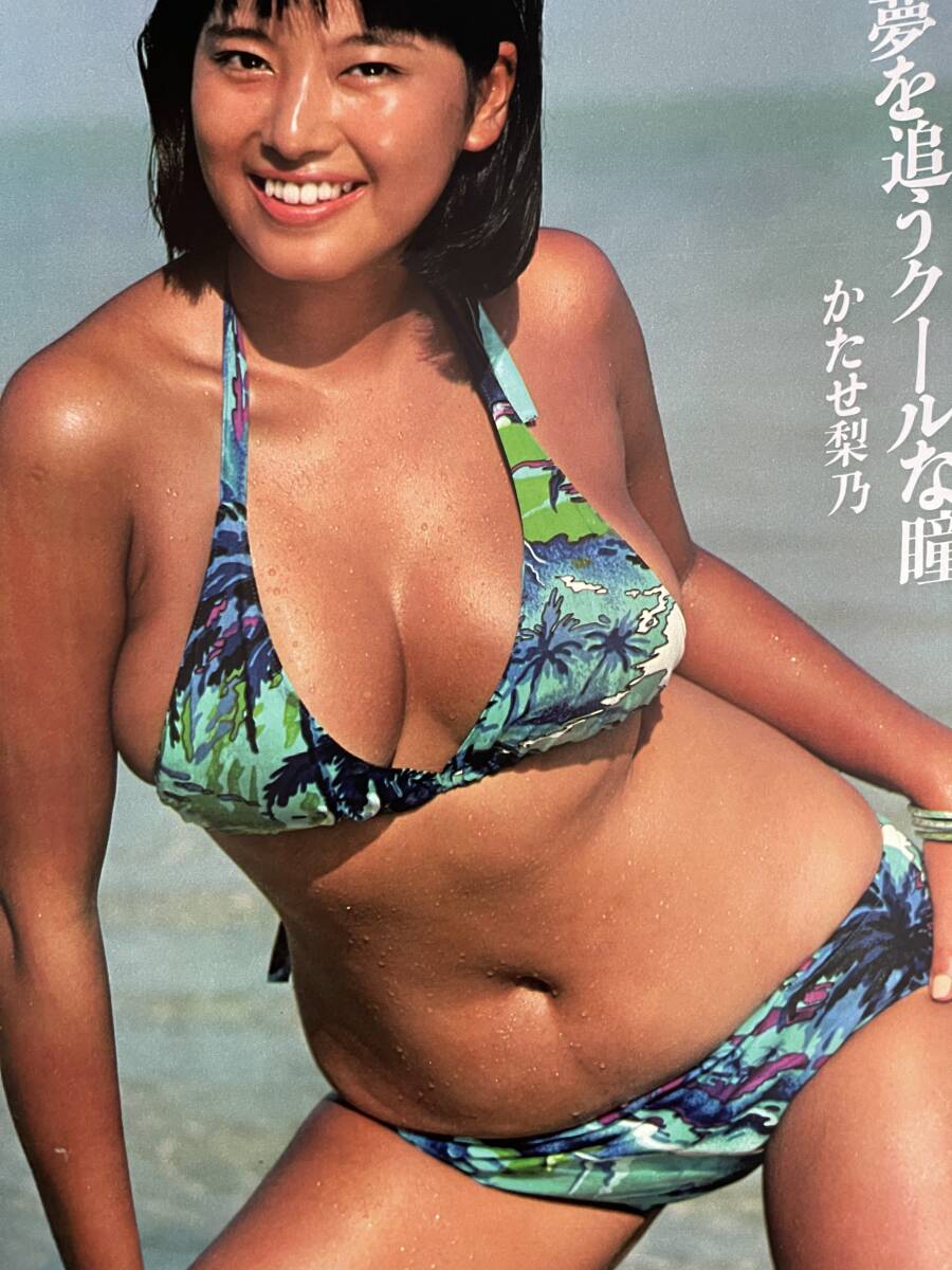 かたせ 梨乃 エロ