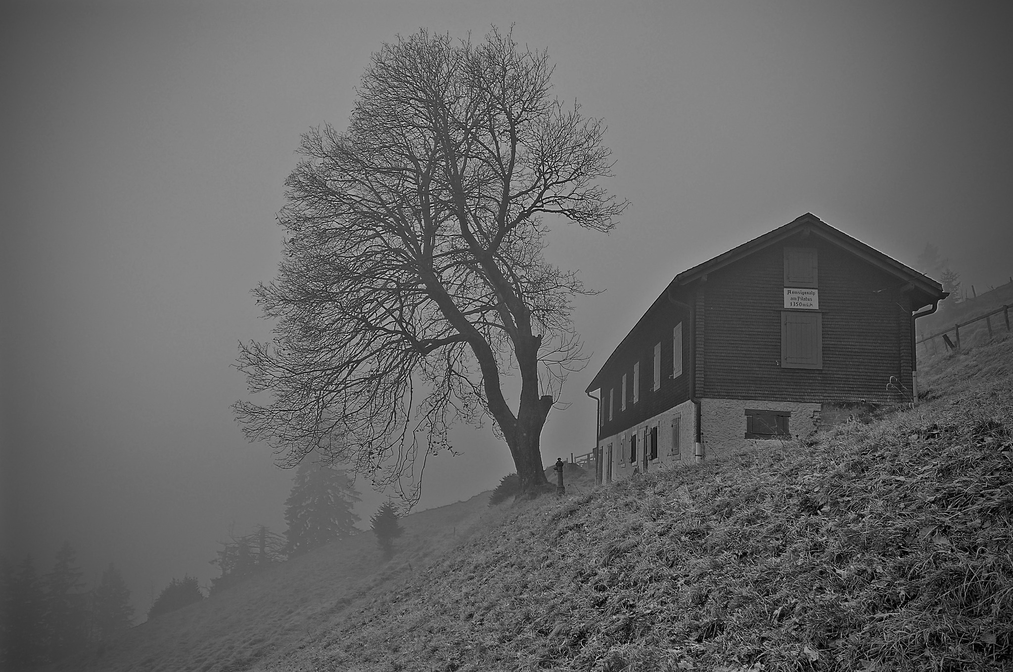 Mist on the way to Mt. Pilatus. Lucerne, Switzerland. Nikon D90 