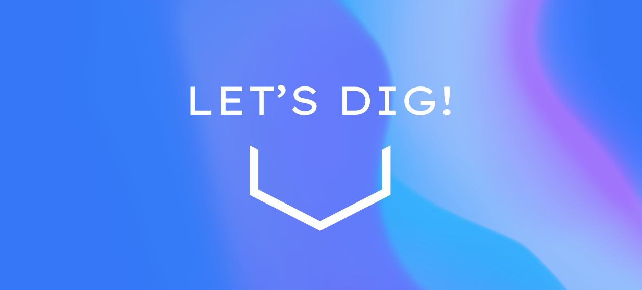 Dig