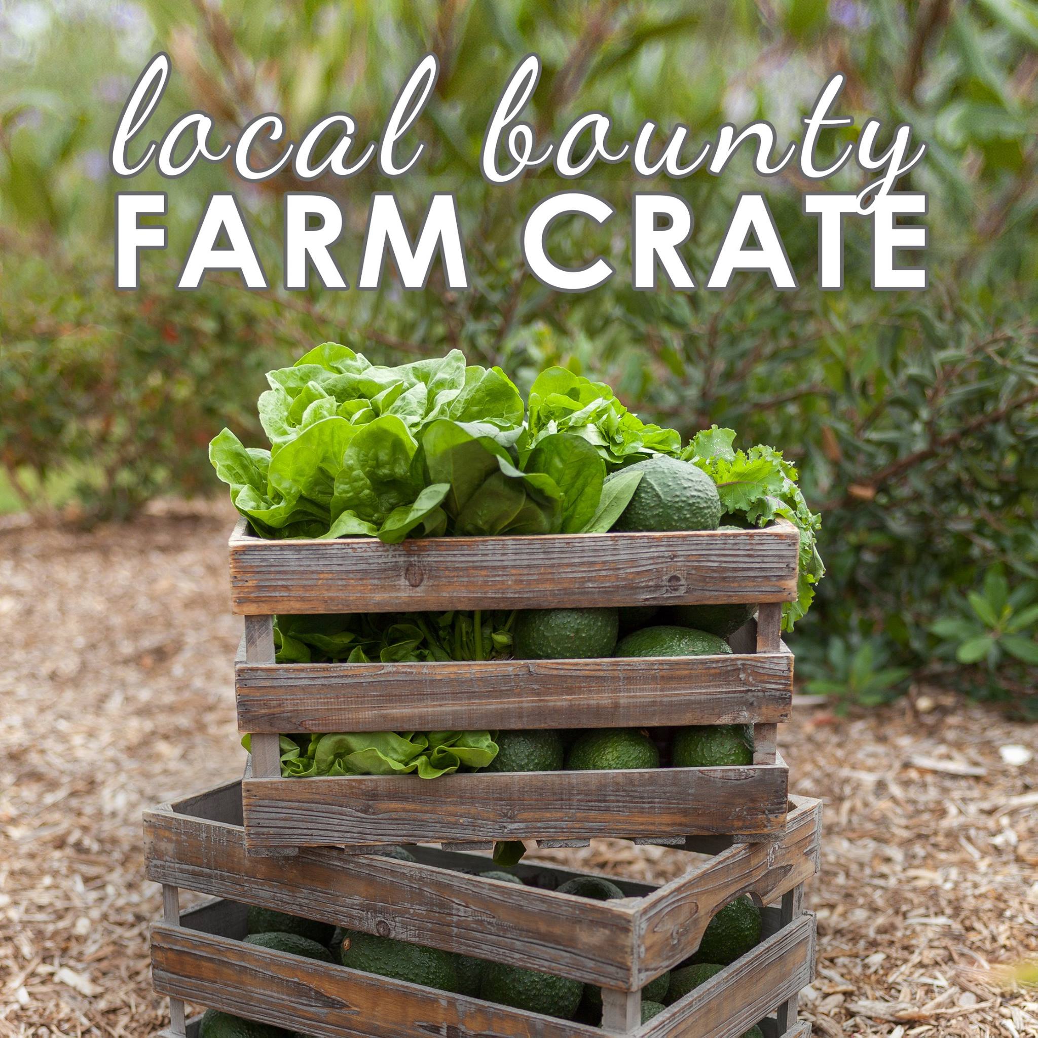 Alexander Ranch Inc. Hydroponic Produce | Toro Canyon CA