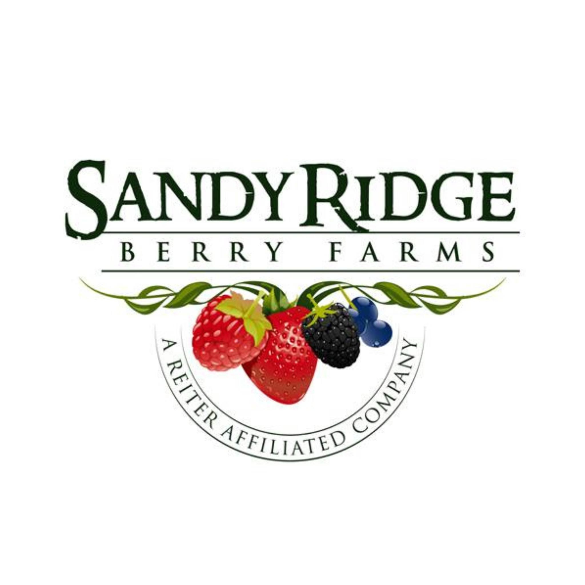 Sandy Ridge Berry Farms