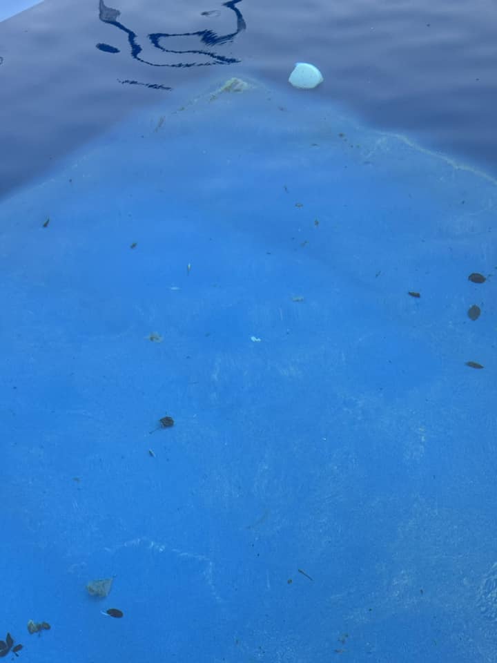 Dip & Dive Pools | Facebook