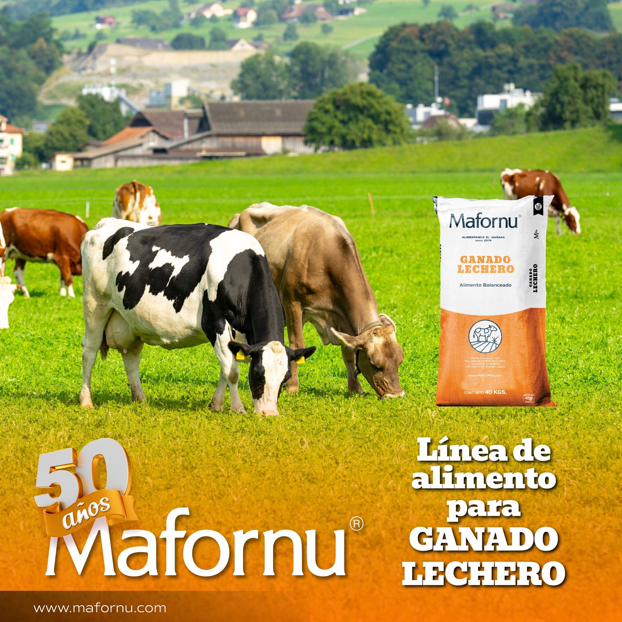 Mafornu - Línea de alimento para GANADO LECHERO Con...