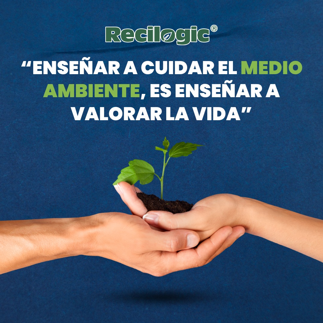 La enseñanza de cuidar el medio ambiente es la clave para un futuro ...