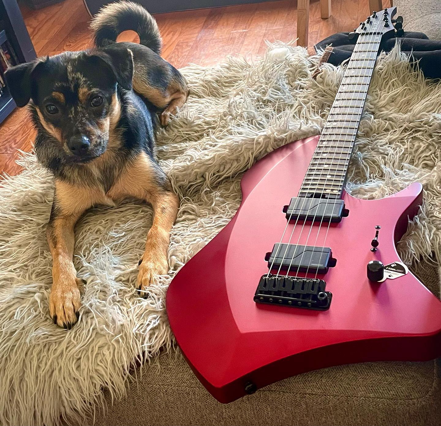 Abasi Larada Legion 8 String Guitar Review