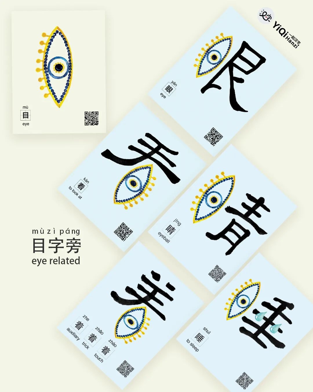 目字旁: eye related. Do you know all... - The Chinese Radical | Facebook