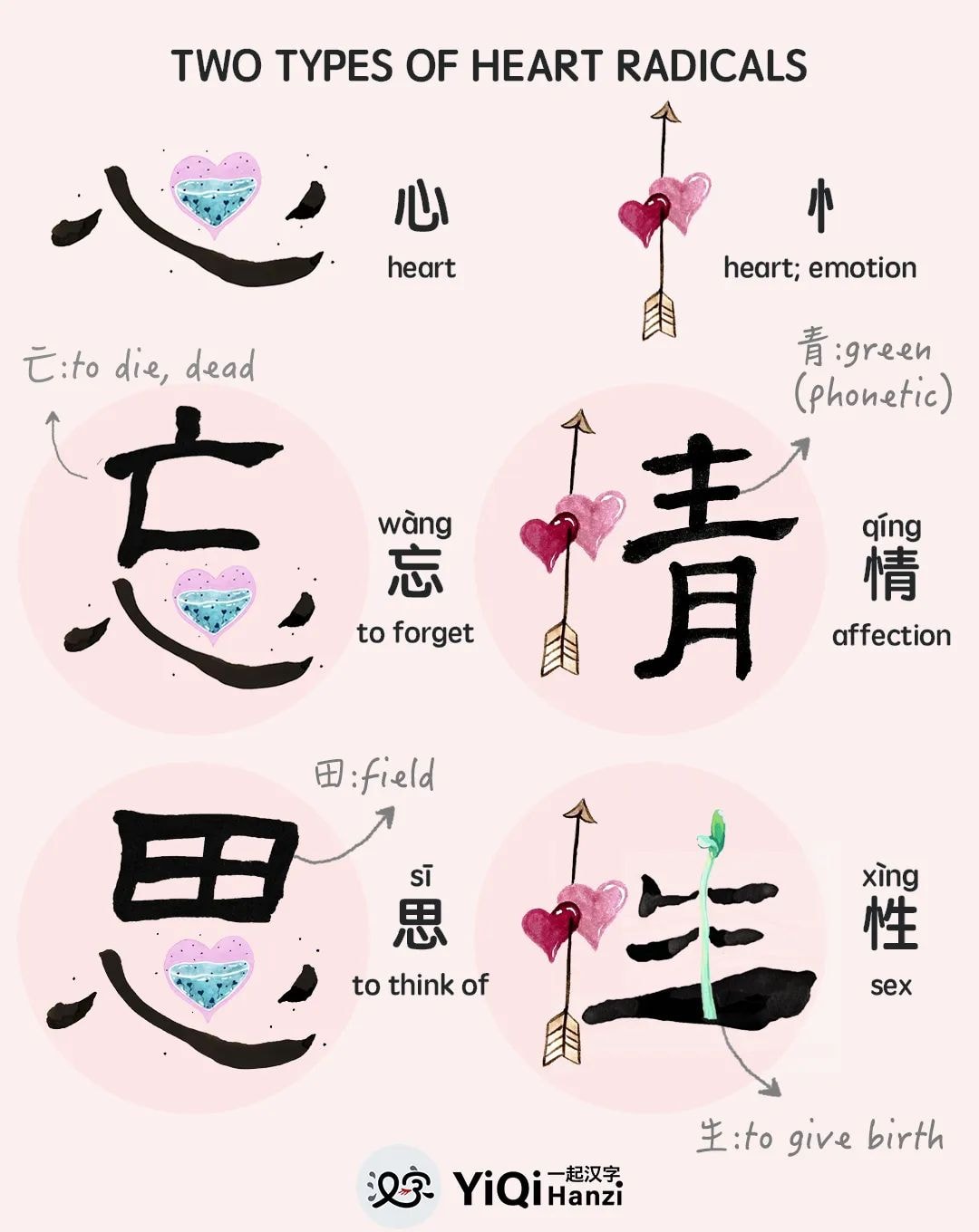 心 & 忄（竖心旁）: characters with 心 or... - The Chinese Radical | Facebook