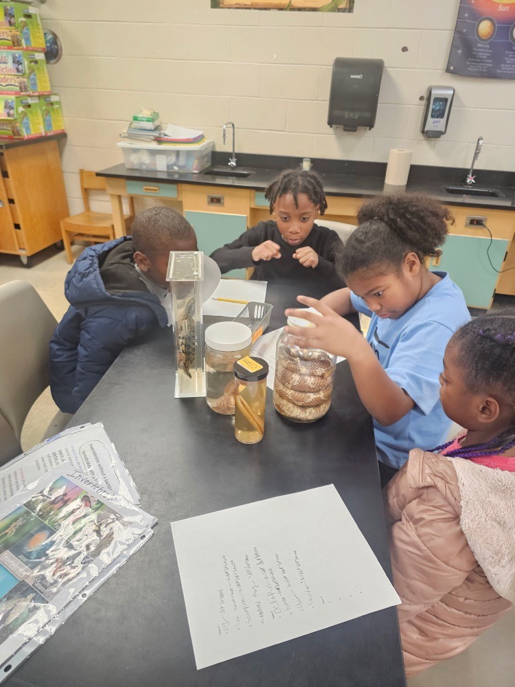 Manning Elementary... - Manning Elementary School - CCSD