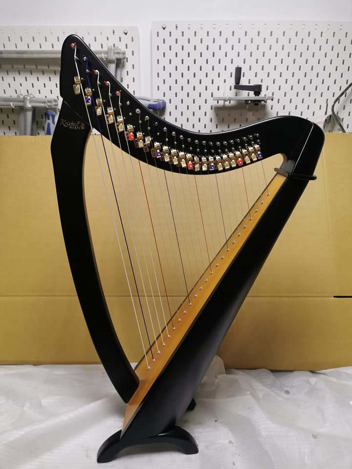 Legno Guitar