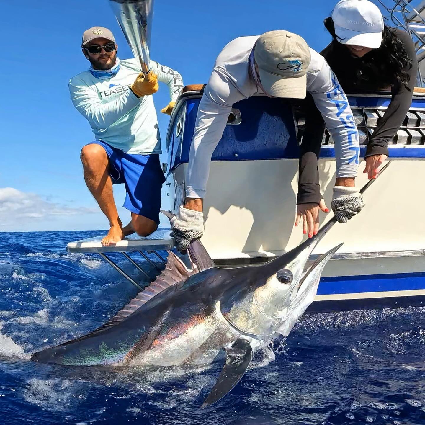meruchariTREK MARLIN ブルー SPECIES PROFILE: THE MAJESTIC BLUE