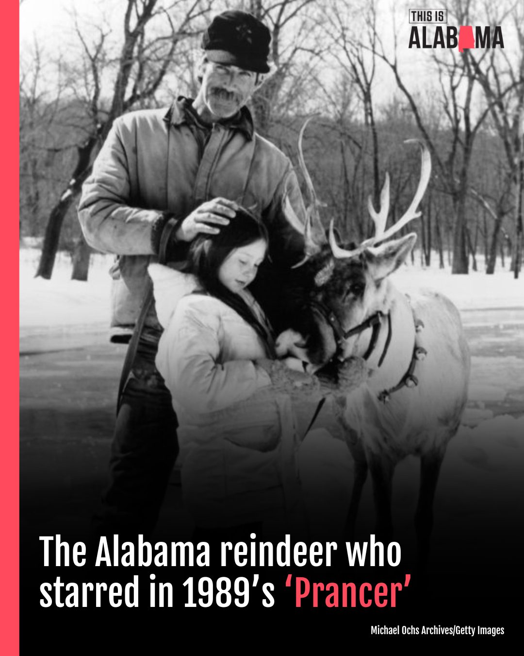 This - Alabama is an unlikely place to find reindeer and an even more ...