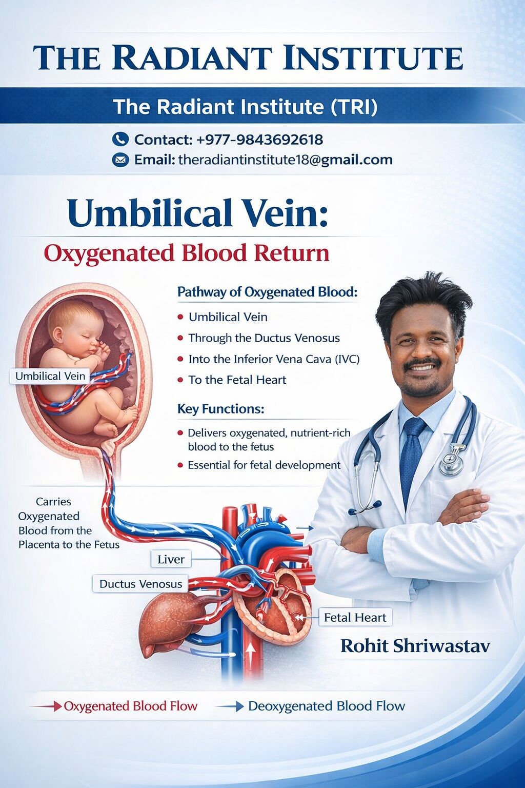 𝐓𝐡𝐞 - 𝐔𝐧𝐝𝐞𝐫𝐬𝐭𝐚𝐧𝐝𝐢𝐧𝐠 𝐟𝐞𝐭𝐚𝐥 𝐜𝐢𝐫𝐜𝐮𝐥𝐚𝐭𝐢𝐨𝐧 𝐢𝐬 𝐭𝐡𝐞 𝐟𝐨𝐮𝐧𝐝𝐚𝐭𝐢𝐨𝐧 𝐨𝐟 𝐦𝐞𝐝𝐢𝐜𝐚𝐥 ...