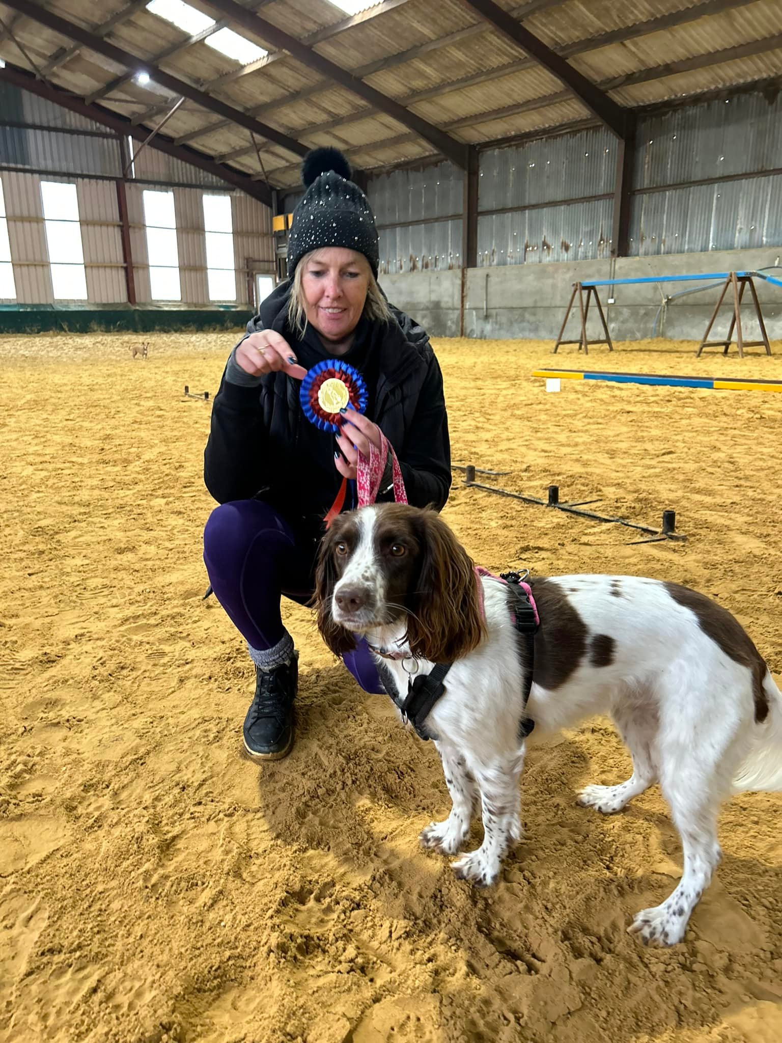 Pro Dog School - Sussex | Ashurst