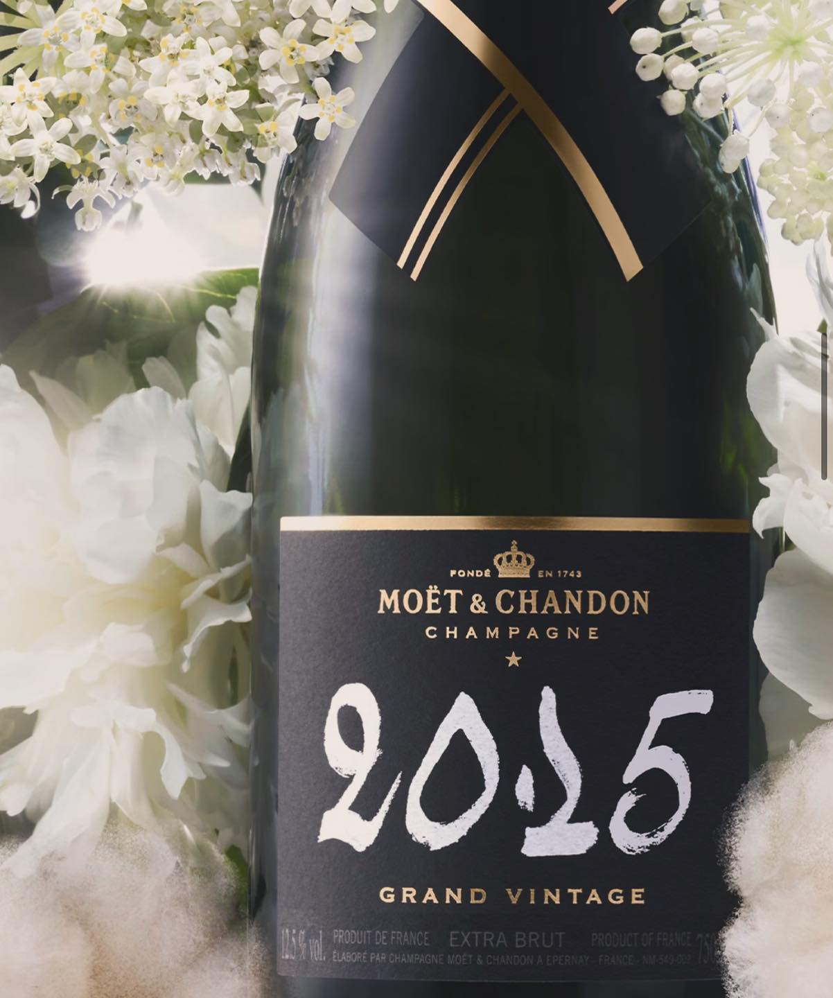 With Anthony as I'm displaying that amazing bottle of Moët et