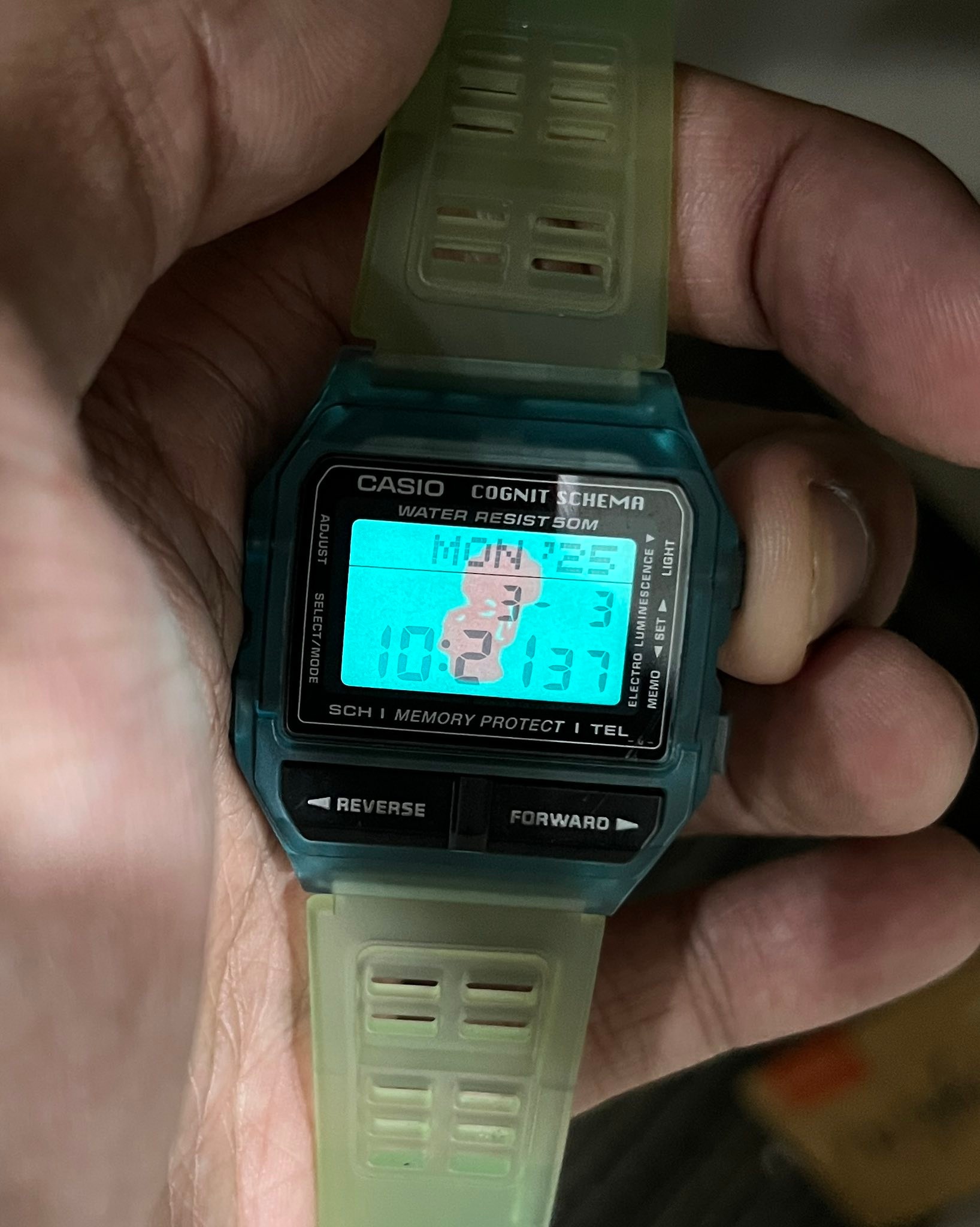 Casio DB-81 ST Cognit Schema watch sold