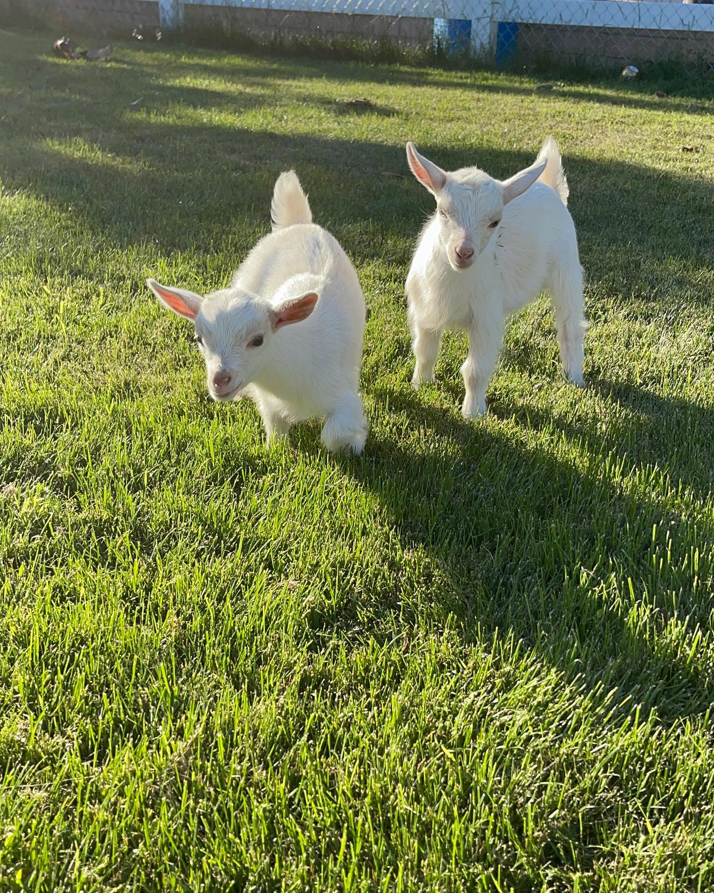 Jimenez Sisters Ranch | Woodcrest CA