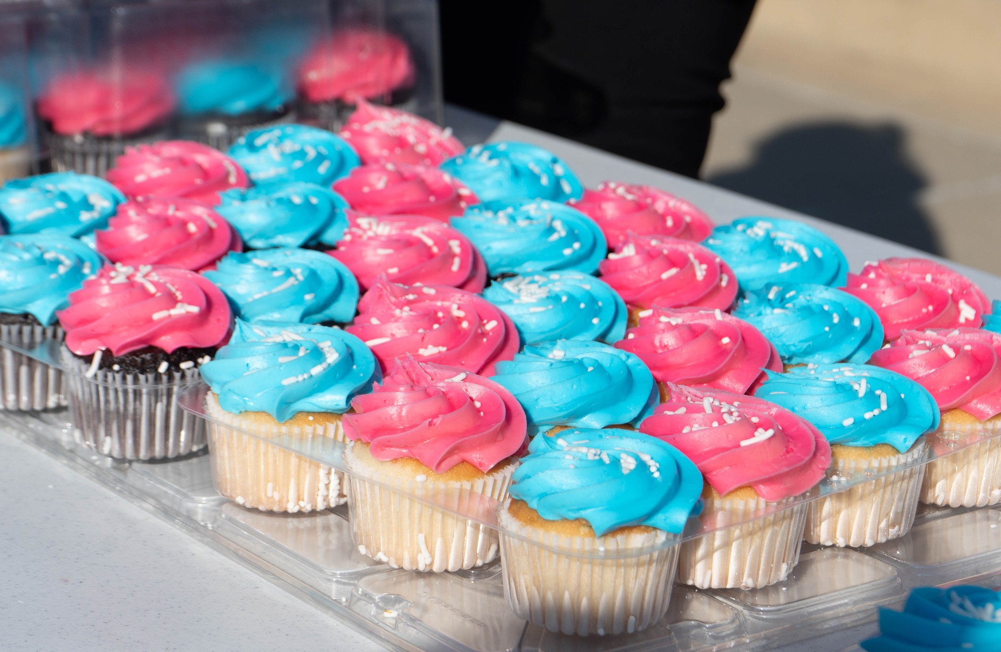 Champaign-Urbana Special Recreation | Champaign IL