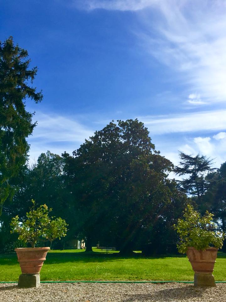 Villa Ravano - - SHALL WE SAY TUSCAN GREEN? - #summeriscoming # ...