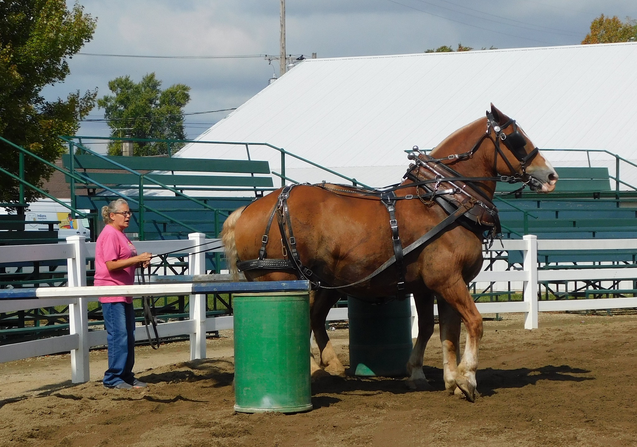 Dekalb County Horsemen's Association | Facebook