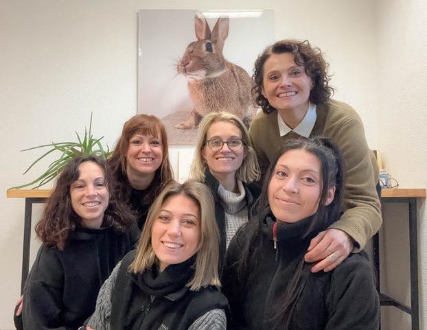 Rabbits - Comment imaginer finir 2025 et démarrer 2026 sans poser ...