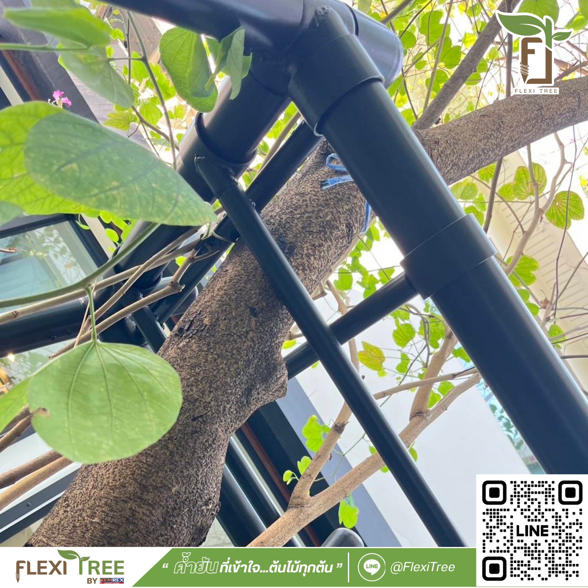 FlexiTree - บางครั้ง…ความสุขของบ้าน ก็เริ่มจากมุมเล็ก ๆ ใต้ร่มไม้ในสวน ...