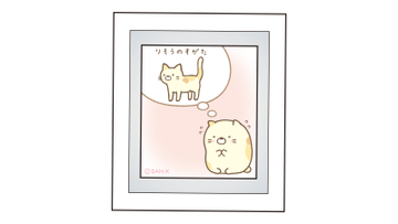 📢 #すみっコぐらしファンクラブ 限定商品part1「マニアックてのり