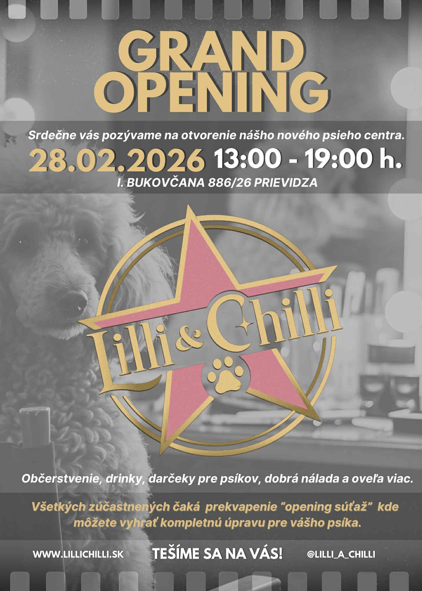 Lilli & Chilli - Centrum pre psy | Prievidza